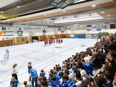 Männer 1 zum 3. Mal Stadtmeister - Derbysieg gegen den TV Oeffingen