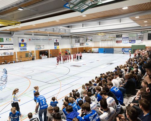 Männer 1 zum 3. Mal Stadtmeister - Derbysieg gegen den TV Oeffingen